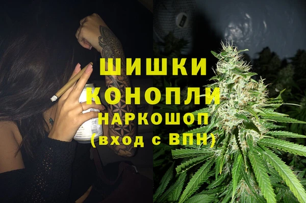 гашик Алексеевка