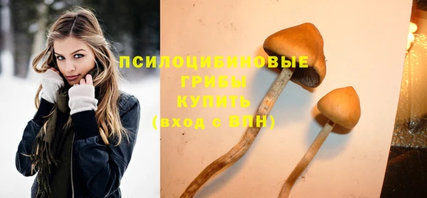 ешки Алзамай