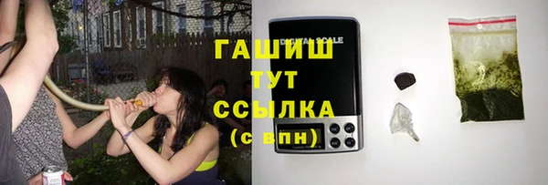 гашик Алексеевка