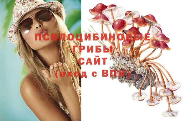 ешки Алзамай
